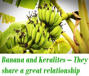 Banana and Kerala