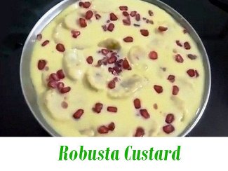 Robusta Custard