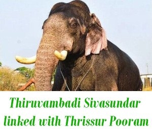 Thiruvambadi Sivasundar death