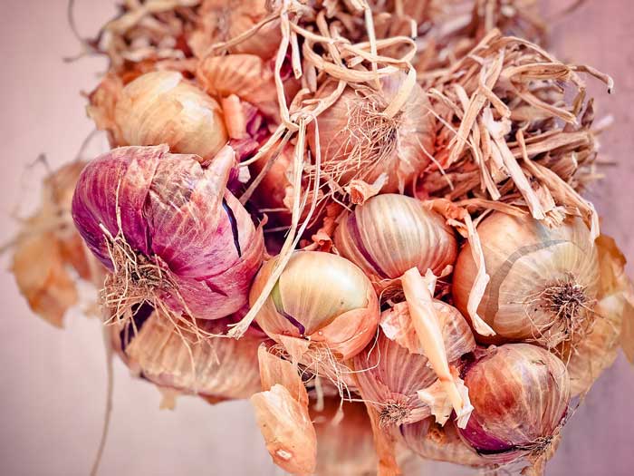 Onions and shallots for hair beauty – A few easy remedies – My Words &  Thoughts