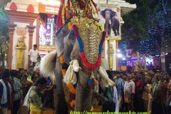 Decorated Elephant For Temple Festival