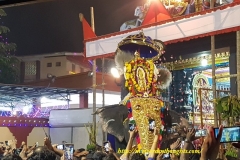 Decorated Elephant Carrying Thidamb