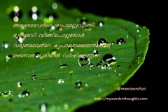 Varuna Devan