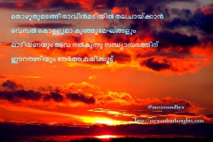sunset