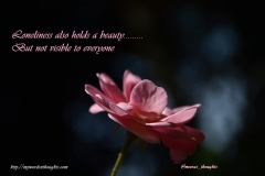 Loneliness Single Flower