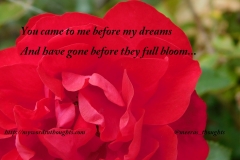 red rose agony