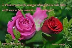 possessiveness quotes