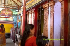 Upadevatha - Ayyappan Naga Hanuman etc