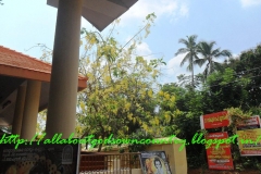 Konna Tree Neyyattinkara Temple