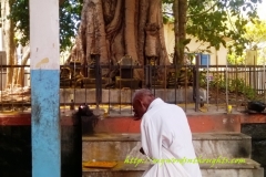 Naga idols installed inside temple premises