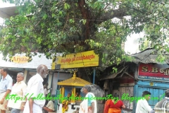 Vettakulam Naga Raja