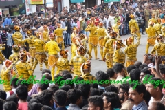 Puli in the streets