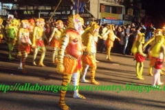 Pulikali Thrissur at night