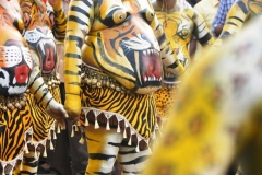 Pulikali Thrissur11