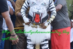 Pulikali Thrissur3
