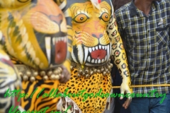 Pulikali Thrissur7