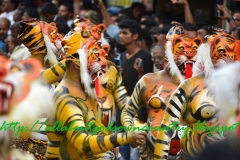 Pulikali Thrissur8