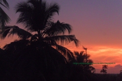 beautiful Sun set