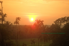 setting sun