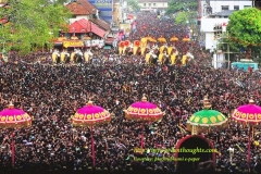 Elephants walking in for Kudamattam