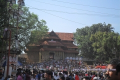 Thekkumkadu Maidan just before Pooram starts