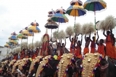 Thrissur Pooram Kudamattam