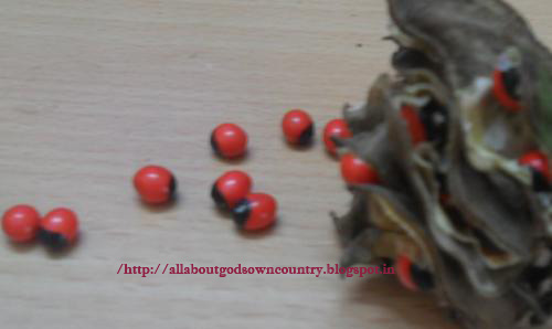 Kunnimani and manchadi are missing these days