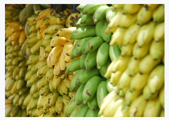 Different Types of Banana Available in Kerala