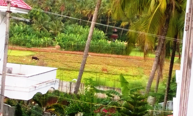 സൗധങ്ങൾ പോലെ പണിയുന്ന ബന്ധങ്ങൾ