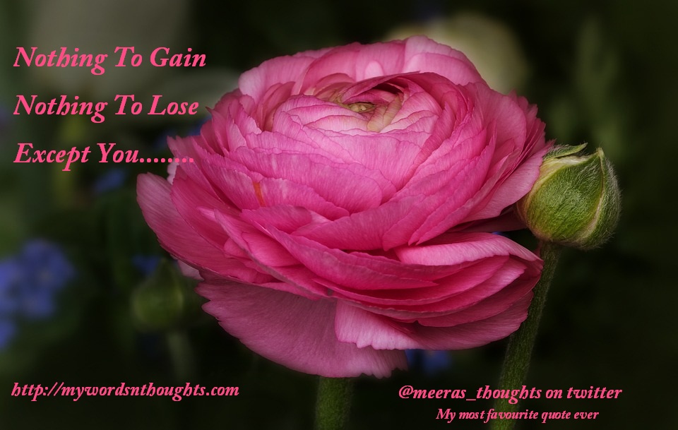 Love Quotes – Happy