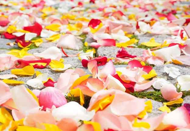 Can we make natural room fresheners at home?