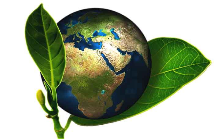 Be Eco-Friendly, Be close to nature