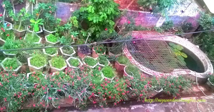 garden with a water source
