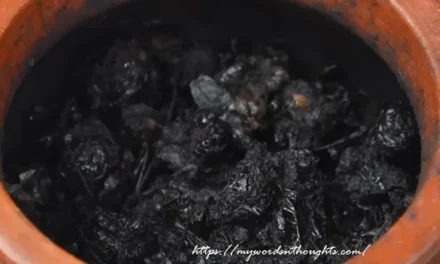 Kari Nellikka (Nellikka Karuppichathu)