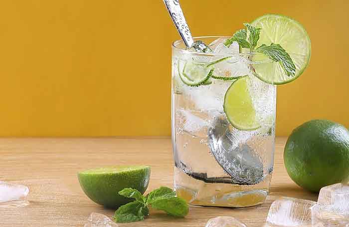 Lemon – Ginger Soda