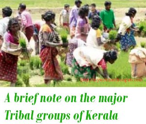 Tribal groups of Kerala