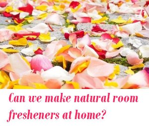 natural room fresheners at home