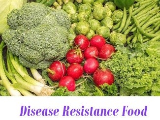Disease Resistance Food