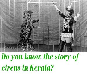 the story of circus in Kerala