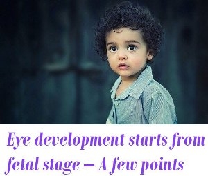 Eye development starts from fetal stage