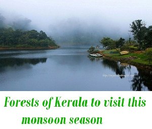 Forests of Kerala