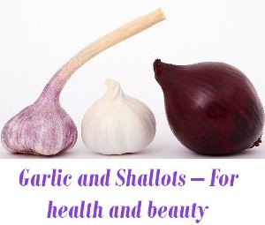 Garlic and Shallots health benefits