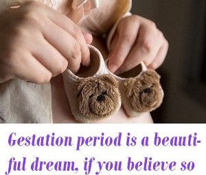 Gestation period