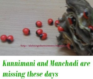 Kunnimani and manchadi