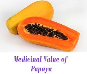papaya as medicine