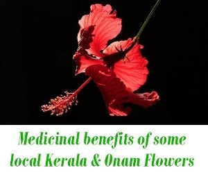 local Kerala flowers and Onam Flowers