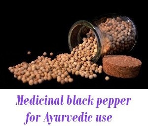 pepper for Ayurvedic use