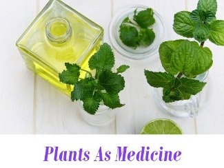 plant medicine herbs