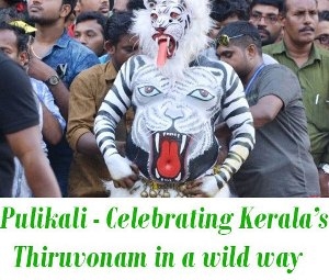 Celebrating-Kerala’s-Thiruvonam-in-a-wild-way