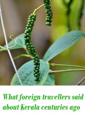 foreign travellers in Kerala